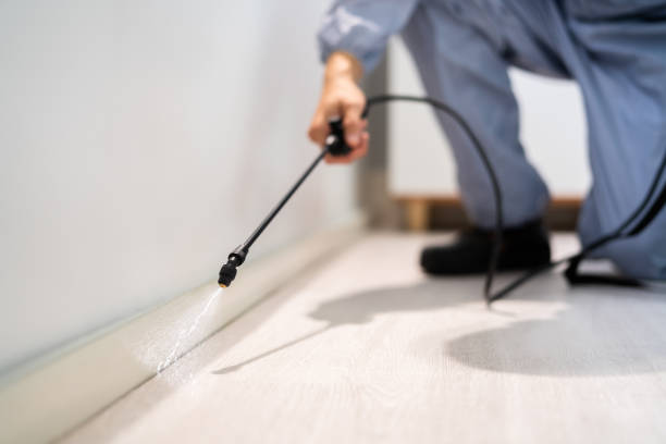 Bed Bug Pre-Treatment Preparation Assessment in Seven Mile