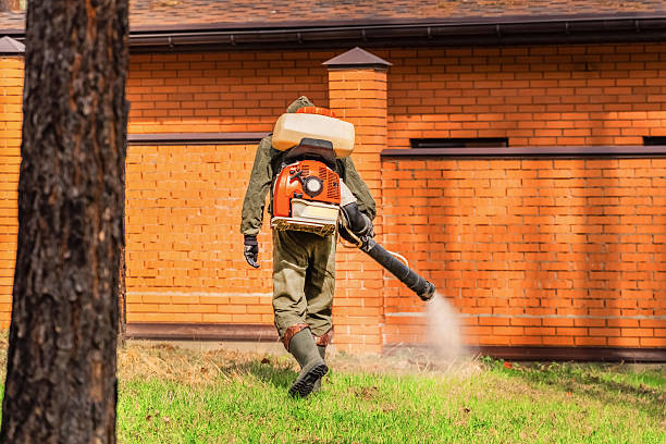 Bed Bug Clearance Verification and Documentation in Seven Mile
